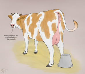 anatomically_correct anatomically_correct_genitalia anatomically_correct_vulva animal_genitalia animal_vulva anus bovine_genitalia bovine_vulva brown_spots bucket butt container dialogue female female_feral feral fur genitals hooves horn looking_at_viewer milk milk_bucket milk_container open_mouth pink_genitals presenting presenting_hindquarters solo spots tail teats text udders vulva white_body white_fur yellow_eyes maklykan bovid bovine cattle mammal english_text hi_res