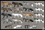 ambiguous_gender black_border border brown_body brown_fur chart countershading digitigrade dipstick_tail educational feral fluffy fluffy_tail fur grey_body grey_fur group markings multicolored_tail orange_body orange_eyes orange_fur quadruped reverse_countershading simple_background tagging_guidelines_illustrated tail tail_markings text the_more_you_know white_body white_fur mxgurl89 arctic_fox canid canine cross_fox fox grey_fox mammal marble_fox pearl_fox platinum_fox red_fox silver_fox true_fox urocyon absurd_res english_text hi_res