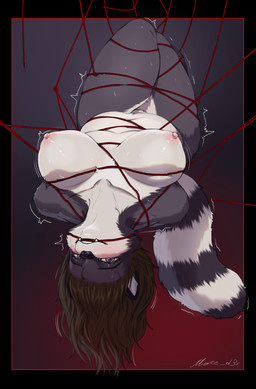 anthro bdsm bondage bound female restraints rope rope_bondage slightly_chubby solo thick_thighs narshemd mythology senasia_(folkenito) canid canine hybrid mammal mythological_canine mythological_creature procyonid raccoon werecanid werecanine werecreature wereprocyonid wereraccoon werewolf absurd_res hi_res