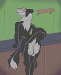 anthro anus backsack balls black_body black_fur butt fur genitals grey_body grey_fur half-closed_eyes inside long_tail looking_at_viewer looking_back male narrowed_eyes nude perineum presenting presenting_hindquarters raised_tail rear_view red_eyes smile solo standing tail winteranswer sergal 2017