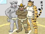 anthro belly bodily_fluids brown_body brown_fur fur group humanoid_hands kemono male moobs navel nipples overweight overweight_male sumo sweat text oogamikennta canid canine canis felid mammal pantherine suid suine sus_(pig) tiger wild_boar wolf 2012 4:3 japanese_text