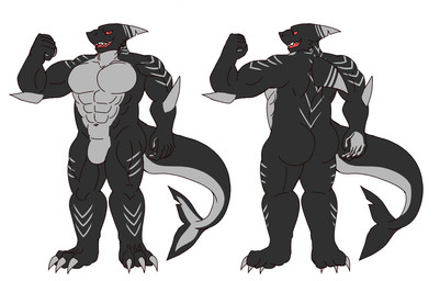 3_toes anthro barazoku black_body claws dorsal_fin dorsal_fin_scar feet fin fin_scar grey_body grey_lines male multicolored_body muscular muscular_male pectoral_fin scar tail tail_fin tail_fin_scar tail_scar toes haha-yea negashark aquatic fish shark 2026 hi_res model_sheet