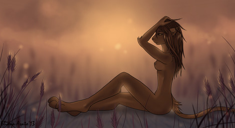 anthro biped breasts brown_eyes brown_hair cloud detailed_background evening female field hair long_hair nature nipples nude outside sitting sky small_breasts solo sun sunset wheat eliana-asato felid lion mammal pantherine 2013 hi_res wallpaper