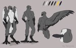 anthro ark balls beak big_penis butt claws erection feathers foreskin genitals humanoid_genitalia humanoid_penis looking_at_viewer male penis simple_background solo standing syncron tail white_body white_feathers wings neyyrie ark_survival_evolved mythology accipitrid accipitriform avian bird mythological_creature 2022 absurd_res digital_media_(artwork) hi_res model_sheet