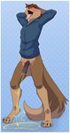 animal_genitalia animal_penis anthro balls blush bodily_fluids bottomless bottomless_male clothed clothing equine_genitalia equine_penis eyewear flaccid genital_fluids genitals glasses hoodie male omorashi peeing peeing_on_ground penis relieved saggy_balls solo tongue tongue_out topwear urine urine_on_ground urine_stream citris kangaroo macropod mammal marsupial absurd_res hi_res