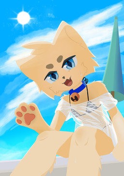 anthro beach bikini bikini_top bodily_fluids clothed clothing collar crossdressing femboy male partially_clothed paws solo sweat swimwear translucent translucent_clothing two-piece_swimsuit kecuxa canid canine fox mammal absurd_res hi_res