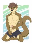 anthro arm_tuft athletic athletic_anthro athletic_male biped boxer_briefs boxer_briefs_only brown_body brown_ears brown_eyebrows brown_fur brown_hair brown_tail bulge cheek_tuft clothed clothing elbow_tuft erection eyebrow_through_hair eyebrows facial_tuft foreskin front_view fur genitals glans glistening glistening_eyes green_body green_eyes green_fur grey_boxer_briefs grey_clothing grey_underwear hair hand_on_penis humanoid_genitalia humanoid_penis kneeling looking_at_viewer male masturbation penile penile_masturbation penis penis_poking_out raised_eyebrow short_hair shoulder_tuft snout solo tail tan_body tan_fur tan_inner_ear tan_penis teeth topless translucent translucent_hair tuft underwear underwear_only yookie chris_(chris28) mammal mustelid otter 2020 absurd_res digital_drawing_(artwork) digital_media_(artwork) flat_colors full-length_portrait hi_res portrait