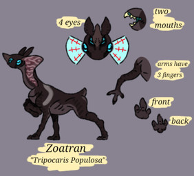 4_eyes antennae_(anatomy) blue_eyes brown_antennae brown_body brown_tail feral markings multi_eye multi_limb solo species_sheet striped_markings stripes tail text zoatran domadordedinoss alien 2023 english_text hi_res portuguese_description species_name