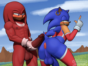abs anthro anus balls blush butt clenched_teeth clothed clothing duo ear_piercing ear_ring erection eyelashes femboy fingerless_gloves fur genitals gesture gloves hand_gesture handwear holding_penis humanoid_genitalia humanoid_penis legwear lipstick looking_at_viewer makeup male male/male mostly_nude muscular muscular_anthro muscular_male nipples nude partially_clothed pecs penis piercing pointing quills_(anatomy) ring ring_piercing smile smiling_at_viewer spikes spikes_(anatomy) stockings tail teeth vein timidwithapen sega sonic_the_hedgehog_(series) knuckles_the_echidna sonic_the_hedgehog echidna eulipotyphlan hedgehog mammal monotreme 4:3 digital_media_(artwork) hi_res