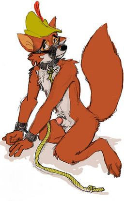 animal_genitalia anthro balls bdsm bondage bound collar genitals leash male muzzle_(object) muzzled penis penis_tip petplay roleplay sheath solo submissive submissive_male tail unknown_artist disney robin_hood_(disney) robin_hood canid canine fox mammal red_fox true_fox