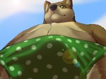 4:3 anthro belly bulge canid canine canis clothing fox hybrid light looking_at_viewer looking_down low-angle_view male mammal polka_dot_underwear shadow skaifox solo sunlight underwear wolf