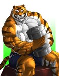 anthro barazoku big_muscles black_body black_fur black_nose bottomwear clothed clothing dumbbell exercise fur huge_muscles humanoid_hands male muscular muscular_anthro muscular_male orange_body orange_fur shorts simple_background snarling solo striped_body striped_fur stripes topless vein veiny_muscles weightlifting weights whiskers white_body white_fur workout echin mike_the_tiger felid mammal pantherine tiger 2011