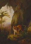 ambiguous_gender black_body black_fur black_stripes cactus cave cloud day feet feral forest front_view fur grass jungle landscape looking_at_viewer mouth_closed orange_body orange_fur palm_tree pink_nose plant snout solo standing striped_body striped_fur stripes tail toes tree white_body white_fur jacques-laurent_agasse felid mammal pantherine tiger absurd_res formal_art hi_res painting_(artwork) shaded soft_shading traditional_painting_(artwork)
