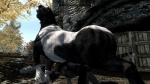 3d anal anal_penetration animal_genitalia cgi equine feline feral fur gay horse horsecock khajiit male mammal penetration penis the_elder_scrolls the_elder_scrolls_v:_skyrim unknown_artist video_games
Rating: Explicit
Score: 4
User: zanini007
Date: July 02, 2013