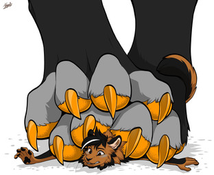 anthro black_paws claws duo feet foot_fetish grey_toes macro male male/male orange_claws orange_pawpads pawpads stepped_on tatujapa denyx_(denyx_dubwolf) hazelaer canid canine canis czechoslovakian_wolfdog domestic_dog felid feline herding_dog hybrid mammal pastoral_dog sheepdog wolfdog hi_res