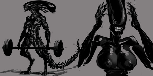 abs barbell breasts exercise eyeless female muscular solo tail weightlifting workout meandraco alien_(franchise) alien xenomorph 2022 absurd_res digital_media_(artwork) hi_res