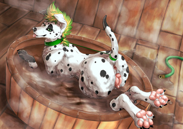4_toes anatomically_correct anatomically_correct_anus anatomically_correct_genitalia anatomically_correct_vulva animal_genitalia animal_vulva anus bath black_body black_fur black_nose black_spots blonde_hair butt canine_genitalia canine_vulva collar feet female feral floppy_ears folded_ears fur genitals gloves_(marking) green_eyes green_hair hair hose looking_aside lying markings multicolored_body multicolored_fur multicolored_hair partially_submerged pawpads paws plump_labia presenting presenting_anus presenting_hindquarters presenting_vulva quadruped raised_tail seductive solo sploot spots steam tail teasing toes tongue tongue_out two_tone_body two_tone_fur two_tone_hair vulva water white_body white_fur conditional_dnp marjani psy101 roxy_(sithman91) canid canine canis dalmatian domestic_dog mammal 2018 digital_drawing_(artwork) digital_media_(artwork) hi_res