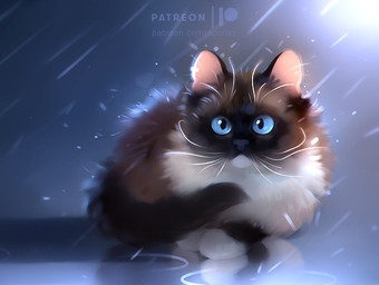 ambiguous_gender blue_eyes brown_body brown_fur feral fur inner_ear_fluff multicolored_body multicolored_fur raining solo tan_body tuft two_tone_body two_tone_fur whiskers apofiss domestic_cat felid feline felis mammal siamese_cat 2018