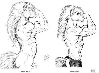 animal_genitalia anthro athletic biceps big_penis biped bottomwear bulge chaps clothed clothing comparison flaccid flexing genitals hair loincloth male muscular muscular_anthro nude pecs penis side_view simple_background solo standing thick_penis topless white_background chris_sawyer equid mammal 2007 greyscale monochrome traditional_media_(artwork)