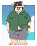 anthro bottomwear clothing eyes_closed eyewear glasses kemono male overweight overweight_male shirt shorts smile solo topwear inunoshippo domestic_pig mammal suid suina sus_(pig) 2024 hi_res