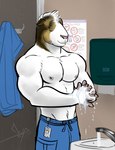 anthro biceps bottomwear clothed clothing fur hair male muscular muscular_anthro muscular_male nipples pants pecs shirtless smile soap solo washing_hands water bgn caviid guinea_pig mammal rodent hi_res