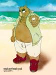 anthro beach belly bottomwear clothing eyewear glasses humanoid_hands jacket male moobs overweight overweight_anthro overweight_male seaside shorts solo topwear water daich mammal suid suine sus_(pig) wild_boar 2015