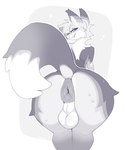 anthro anus backsack balls big_anus bodily_fluids butt canid canine digital_media_(artwork) eden_(pklucario) fox gemkin genitals grin hair hi_res looking_back male mammal monochrome nude rear_view simple_background smile solo sparkles sweat whiskers