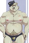 anthro belly big_belly bulge clothing eyes_closed humanoid_hands kemono male moobs musclegut muscular nipples overweight overweight_male police police_badge police_hat scar solo thong underwear maron2475 canid canine canis domestic_dog mammal 2022 hi_res