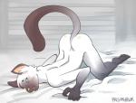 all_fours anthro ass_up bed blush butt femboy furniture grabbing_sheets male nude on_bed pose raised_tail solo tail prismhawk colin_(prismhawk) domestic_cat felid feline felis mammal siamese 2018 digital_media_(artwork) pinup