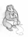 anthro balls blush breasts duo feet female feral fur genitals hindpaw male nipples nude overweight paws semi-anthro simple_background size_difference smile oddwilds badger mammal mustelid musteline rodent sciurid tree_squirrel 2015 graphite_(artwork) monochrome sketch traditional_media_(artwork)