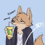 1:1 anthro black_nose blue_background brown_body brown_fur canid canine canis cheek_tuft clothed clothing comic container cup dialogue digital_media_(artwork) drinking english_text exclamation_point extended_sound_effect facial_tuft fur head_tuft hi_res holding_container holding_cup holding_object jacket juantriforce male mammal neck_tuft onomatopoeia ragey red_wolf shirt simple_background slurping solo sound_effect_variant sound_effects straw_(disambiguation) talking_to_another text topwear tuft vowelless vowelless_vocalization wolf
