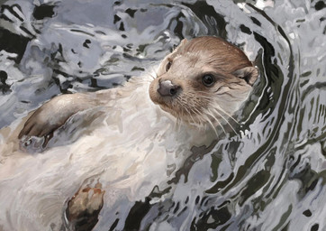 black_eyes brown_body brown_fur feral fur grey_body grey_fur multicolored_body multicolored_fur partially_submerged photorealism quadruped realistic realistic_feral solo tan_body tan_fur wet wet_body wet_fur whiskers renum63 eurasian_otter lutra mammal mustelid otter river_otter 2014 artrage_(artwork) digital_media_(artwork) digital_painting_(artwork) painting_(artwork)