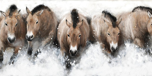 black_eyes black_hair black_nose brown_body brown_fur feral fur group hair herd markings nature quadruped running snow tan_body tan_fur white_markings renum63 equid equine horse mammal prehistoric_species 2014