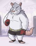 anthro biped black_bottomwear black_clothing black_shorts bottomwear boxing_gloves boxing_shorts clothing fighting_ring fur grey_body grey_fur grey_nose handwear male shorts solo buffalonickels mammal murid murine rat rodent 2023