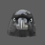 ambiguous_gender beak blue_eyes feral front_view grey_background looking_at_viewer simple_background solo white_eyes wholesomejak obelisk398 soyjak australian_raven avian bird corvid corvus_(genus) oscine passerine raven 1:1 absurd_res digital_media_(artwork) digital_painting_(artwork) greyscale headshot_portrait hi_res monochrome portrait