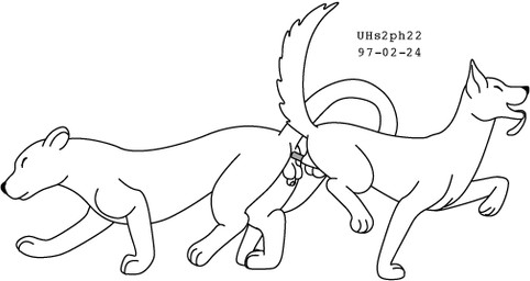 animal_genitalia ass_to_ass balls duo feral feral_on_feral frown fur genitals happy interspecies knot knot_root knotted_penis knotting male male/male nude penis sheath simple_background smile tongue tongue_out toony white_background urbanhermit canid canine canis felid feline mammal wolf black_and_white monochrome