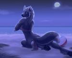 2018 4_toes 5:4 anthro bare_shoulders barefoot beach biped black_nose black_pawpads blue_eyes bottomwear butt canid canine canis claws clothed clothing detailed_background digital_media_(artwork) digitigrade eleniel feet female hindpaw loincloth looking_back mammal moon mythological_canine mythological_creature mythology night outside pawpads paws seaside sitting sky smile solo star starry_sky toe_claws toes wand water werecanid werecanine werecreature werewolf wolf wyla