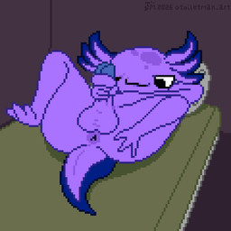 anthro anus balls bed big_balls big_butt big_penis blue_glans bodily_fluids butt clenched_teeth cramp eye_twitch furniture genitals glans holidays lying male masturbation nude nude_anthro nude_male on_back pain penile penile_masturbation penis purple_anus purple_balls purple_body purple_butt purple_penis solo sweat teeth text toilet_man april_fools'_day amphibian aquatic axolotl mole_salamander salamander 1:1 2026 animated artist_name digital_media_(artwork) pixel_(artwork) pixel_animation signature