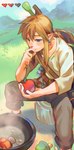 apple blue_eyes clothed clothing cooking food fruit fungus grass hair heart_meter holding_apple holding_food holding_fruit holding_object humanoid_pointy_ears male mushroom not_furry plant pointy_ears solo uzucake breath_of_the_wild nintendo the_legend_of_zelda link humanoid hylian 2017 hi_res