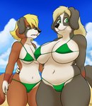 anthro beach bikini clothing curvy_figure duo female female/female swimwear two-piece_swimsuit pickles-hyena mother_daughter_boob_envy_(meme) bernese_mountain_dog canid canine canis domestic_dog mammal molosser mountain_dog swiss_mountain_dog daughter_(lore) mother_(lore) parent_(lore)