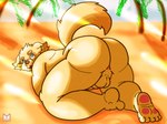 anthro balls beach big_butt butt genitals kemono male nude outside paws penis seaside slightly_chubby slightly_chubby_male solo tail red_panda_mirr lifewonders tokyo_afterschool_summoners cu_sith_(tas) canid canine canis domestic_dog mammal digital_media_(artwork) hi_res