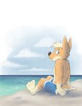 anthro barefoot beach blonde_hair blue_clothing blue_swimwear blue_water clothed clothing cloudy_weather feet fur grey_eyes hair male orange_body orange_fur outside sand seaside sitting smile solo swimsuit_only swimwear tan_body tan_fur topless water whimsical vir-no-vigoratus avery_(vir-no-vigoratus) canid canine canis domestic_dog herding_dog mammal pastoral_dog welsh_corgi