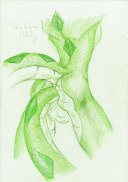 anal anal_masturbation anal_penetration anthro autopenetration backsack balls biped butt genitals green_body green_butt green_tail male masturbation muscular muscular_anthro muscular_male nude penetration raised_tail small_waist solo tail tail_fetish tail_in_ass tail_in_own_ass tail_insertion tail_masturbation tail_play megfluff reptile scalie snake hi_res unavailable_at_source