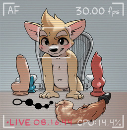 anal_beads animal_dildo animal_sex_toy anthro balls blush buttplug buttplug_tail camera_view canine_dildo dildo fake_tail flaccid genitals male navel penis plug_(sex_toy) sex_toy sex_toy_background short solo young young_anthro young_male harmarist mek_(harmarist) canid canine canis domestic_dog herding_dog mammal pastoral_dog welsh_corgi