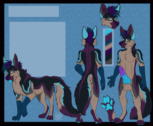 anthro balls erection genitals knot knotted_penis male penis solo sinister-jordex canid canine mammal hi_res model_sheet tagme