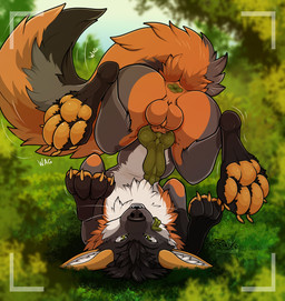 animal_genitalia animal_penis anus balls butt camera canine_genitalia canine_penis feet feral foot_focus genitals knot male pawpads paws penis raised_paw raised_tail solo spread_anus spreading tail tongue pawzzhky fin_the_fox canid canine fox mammal hi_res