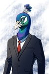 anthro black_suit_jacket blue_body blue_feathers clothed clothing feathered_wings feathers fully_clothed grey_eyes male necktie red_necktie shirt solo suit_and_tie topwear white_clothing white_topwear white_undershirt wings wings_folded conditional_dnp ratte avian bird galliform indian_peafowl peafowl phasianid 2022 2:3 hi_res