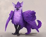 ambiguous_gender beak black_beak black_claws claws feathers feral fur looking_at_viewer purple_body purple_eyes purple_feathers purple_fur solo dsw7 mythology arith avian gryphon mythological_avian mythological_creature hi_res