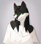 anthro black_body black_fur black_hair black_nose breasts cleavage clothed clothing female fur green_eyes hair long_hair looking_at_viewer red_body red_fur smile solo white_hair chloe-dog felicity_longis canid canine fox mammal bust_portrait hi_res portrait