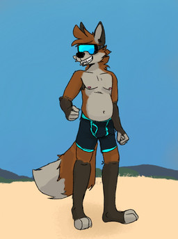 anthro beach blue_bottomwear blue_clothing blue_seam_underwear blue_underwear body_hair bottomwear boxer_briefs brown_body brown_fur clothed clothing colored_seam_underwear day eyewear fur goggles grass grin male male_anthro nipples outside plant smile solo swimming_in_underwear underwear underwear_only ethan_forestfox ethan_blade canid canine mammal maned_wolf 2021 hi_res